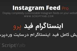 افزونه نمایش فید اینستاگرام در وردپرس Instagram Feed Pro