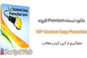 افزونه WP Content Copy Protection Premium - جلوگیری از کپی کردن مطالب