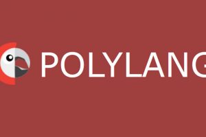 دانلود افزونه چند زبانه کردن سایت وردپرسی Polylang Pro v3.1.3
