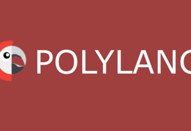دانلود افزونه چند زبانه کردن سایت وردپرسی Polylang Pro v3.1.3